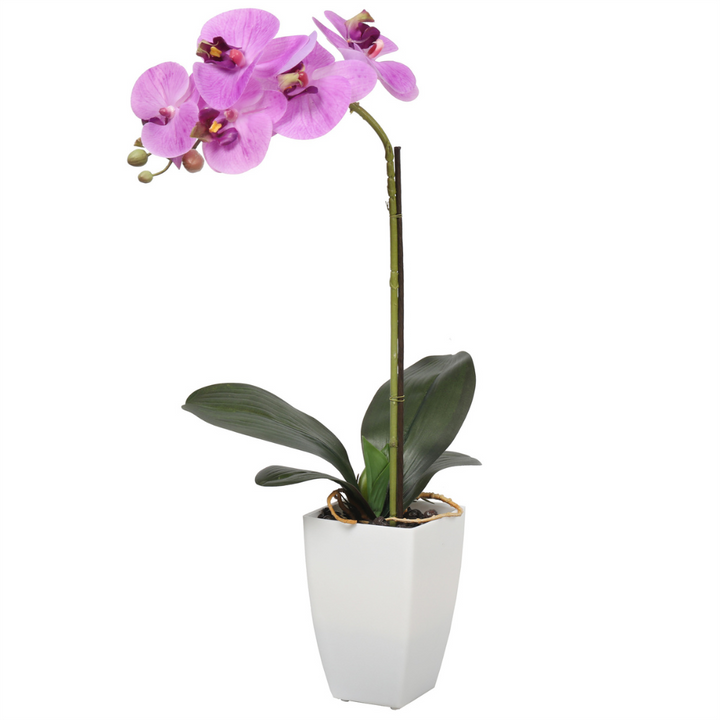 Orquídea Morada 52 cm en macetero