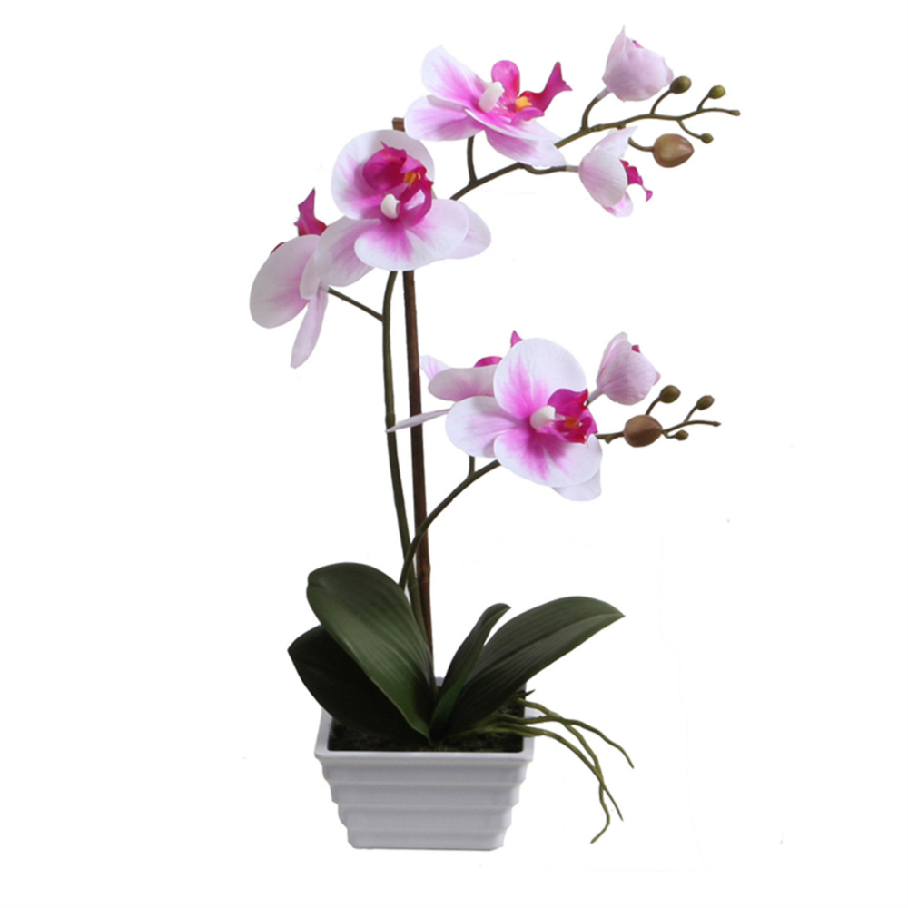Orquídea Rosada 44 cm en macetero