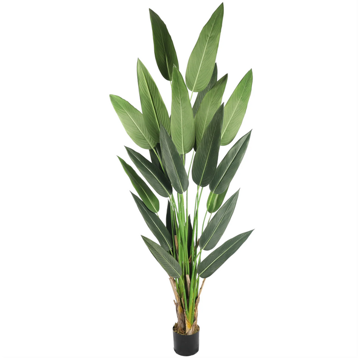 Bird of paradise 205 cm