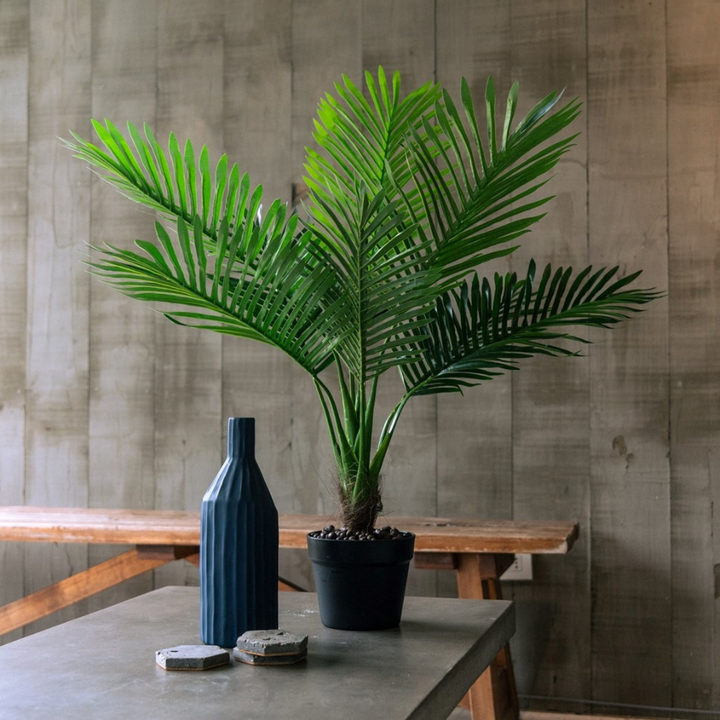 Palmera de 80 cm