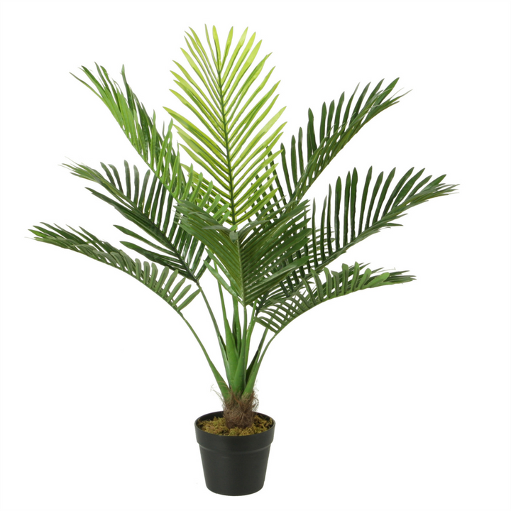 Palmera de 80 cm